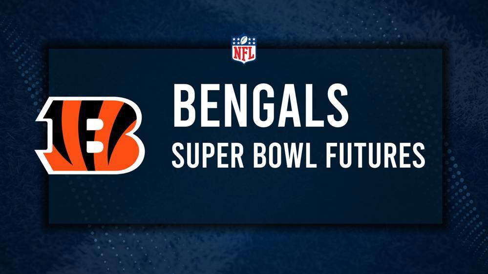 Cincinnati Bengals Super Bowl and NFL Playoff Odds