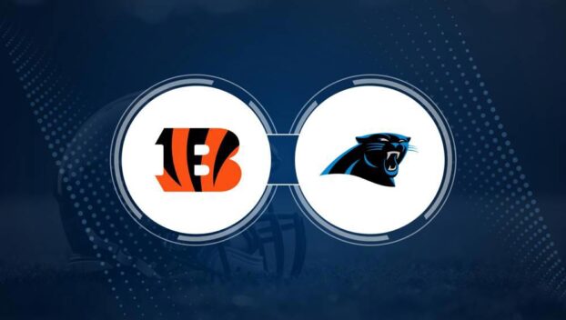 Best Bets, Odds for the Bengals vs. Panthers Game – Week 4