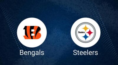 Bengals vs. Steelers: Odds, Moneyline, and Spread - Week 13