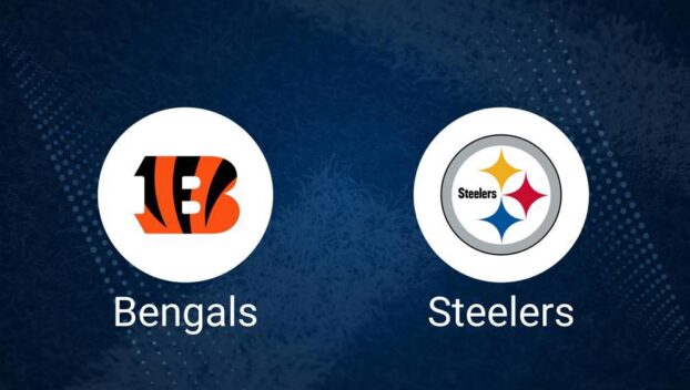 Bengals vs. Steelers: Odds, Moneyline, and Spread - Week 13